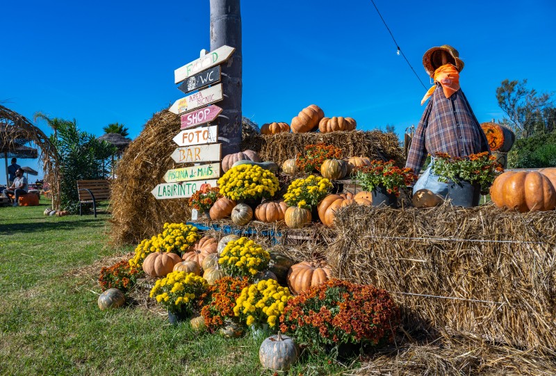 Ke’e Beach - eventi e ambienti